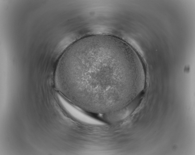 X0000090470105200707272306