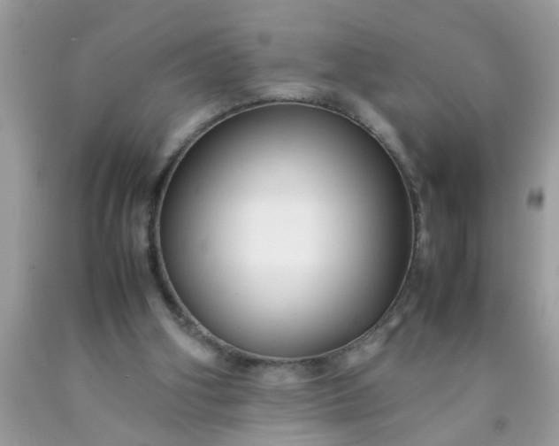 X0000090470106200707272306