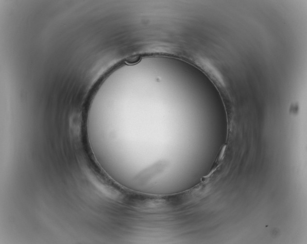 X0000090470108200707272306