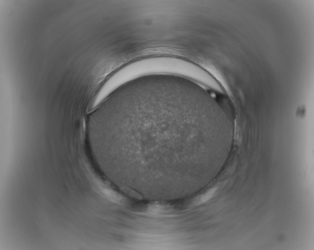 X0000090470109200707272306