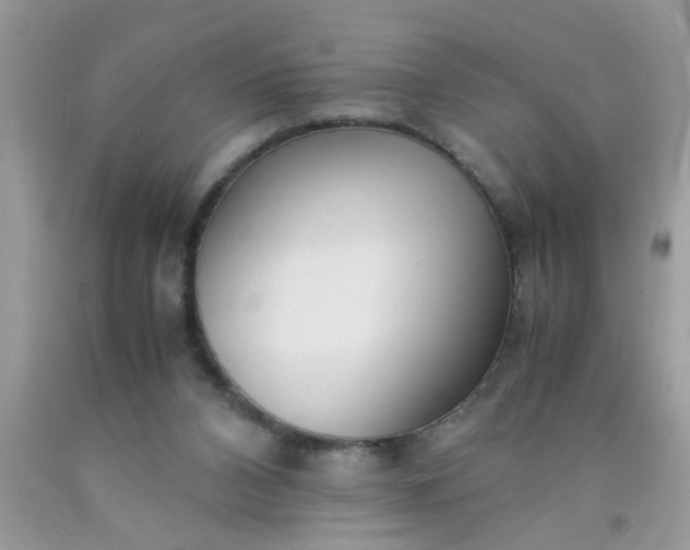 X0000090470112200707272306