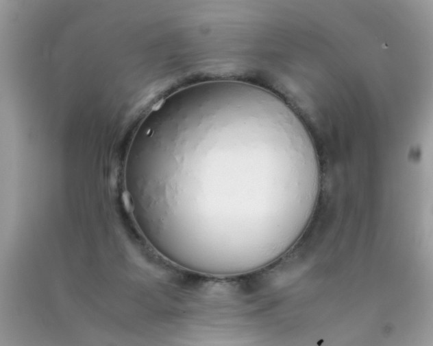 X0000090470115200707272306