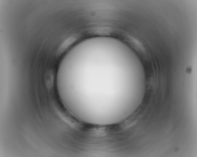 X0000090470120200707272306