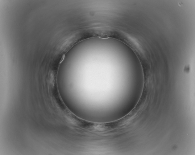 X0000090470121200707272306