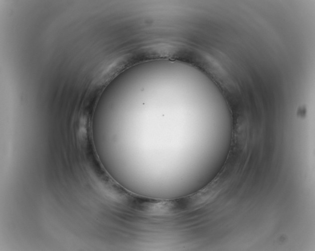 X0000090470122200707272306