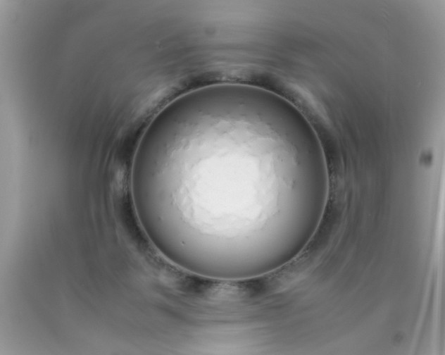 X0000090470123200707272306