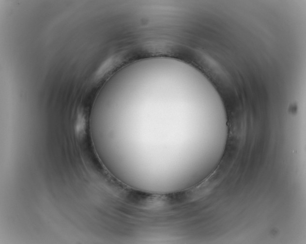 X0000090470124200707272306