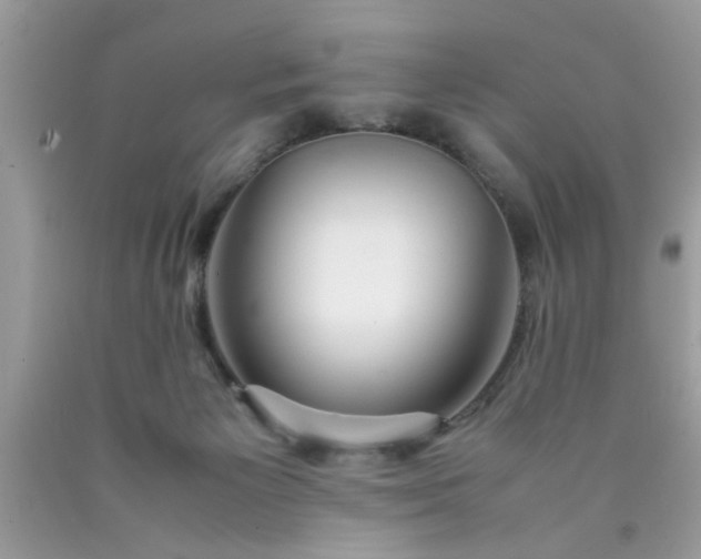 X0000090470125200707272306