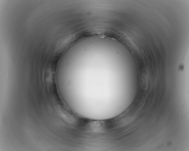 X0000090470126200707272306