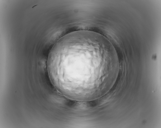 X0000090470127200707272306