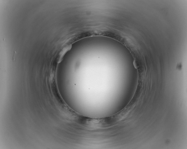 X0000090470129200707272306