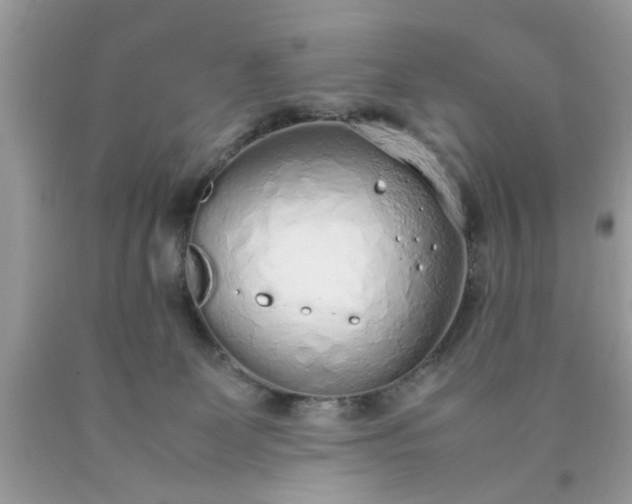 X0000090470131200707272306