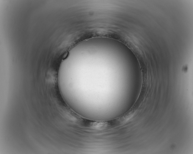 X0000090470135200707272306