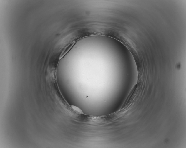 X0000090470141200707272306