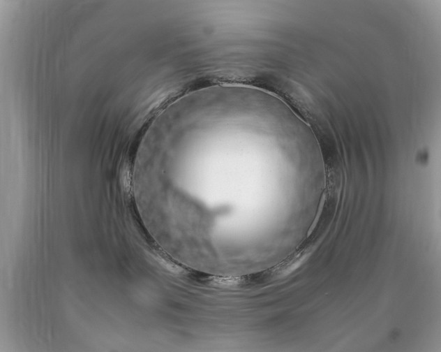 X0000090470143200707272306