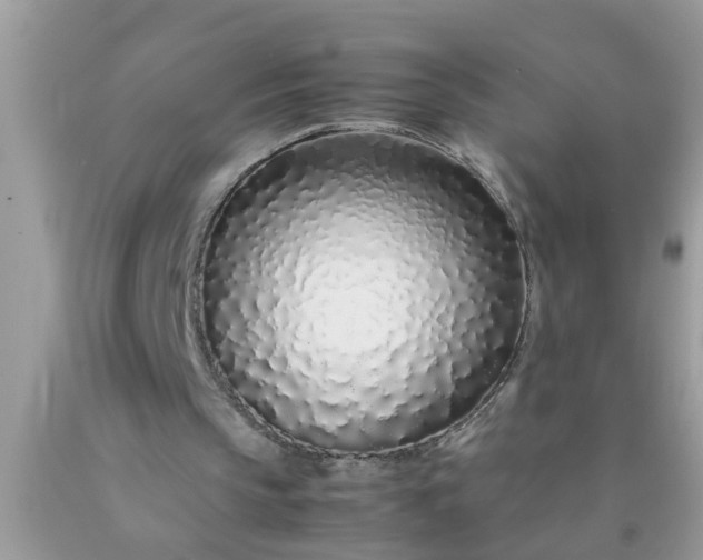 X0000090470145200707272305