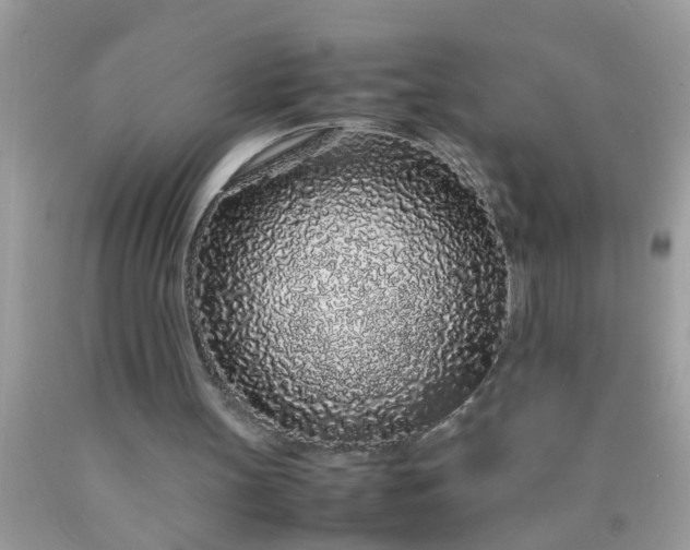 X0000090470147200707272305