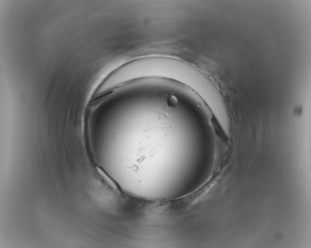 X0000090470148200707272305