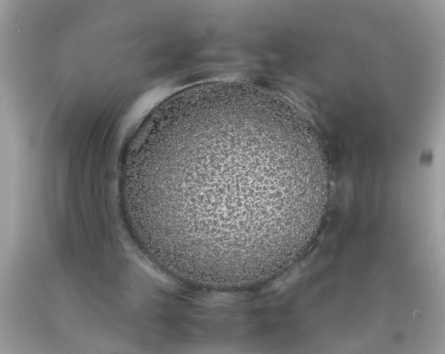 X0000090470149200707272305