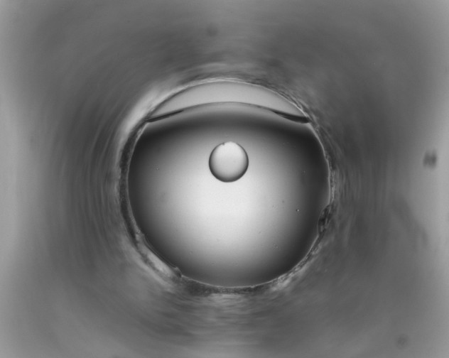 X0000090470150200707272305