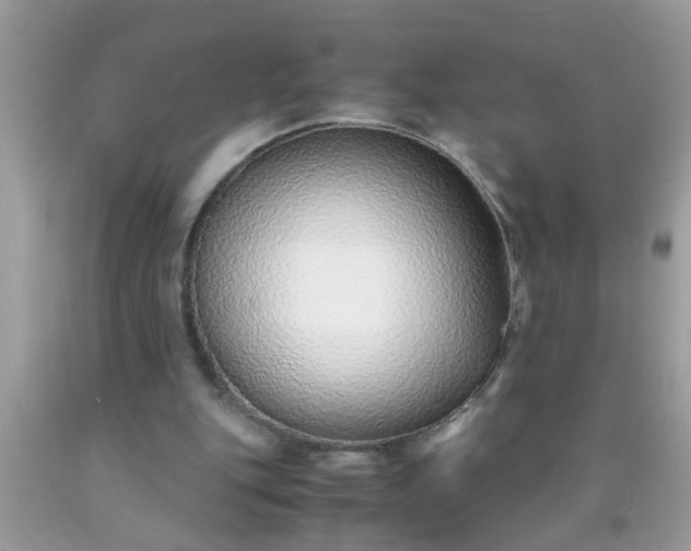 X0000090470151200707272305