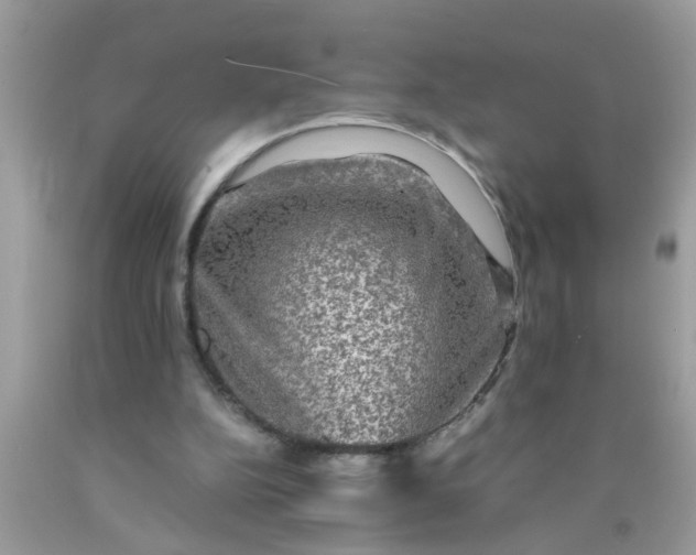 X0000090470152200707272305