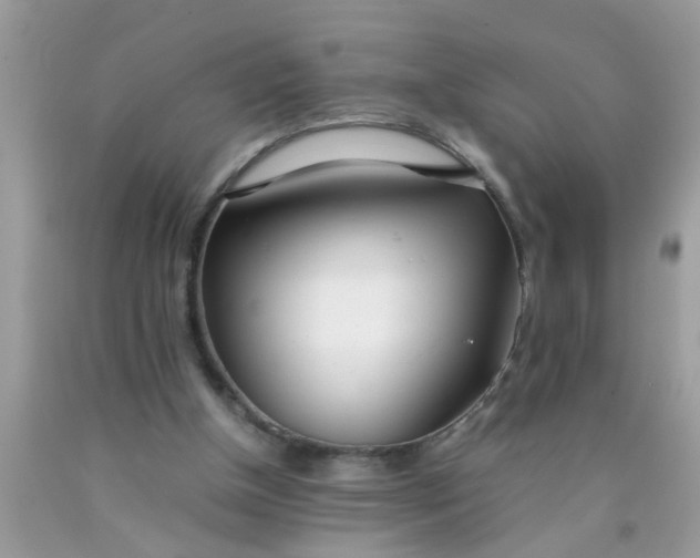 X0000090470154200707272305