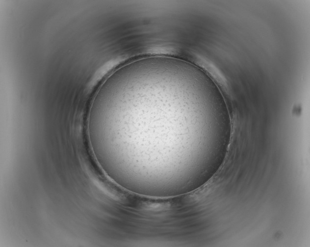 X0000090470155200707272305