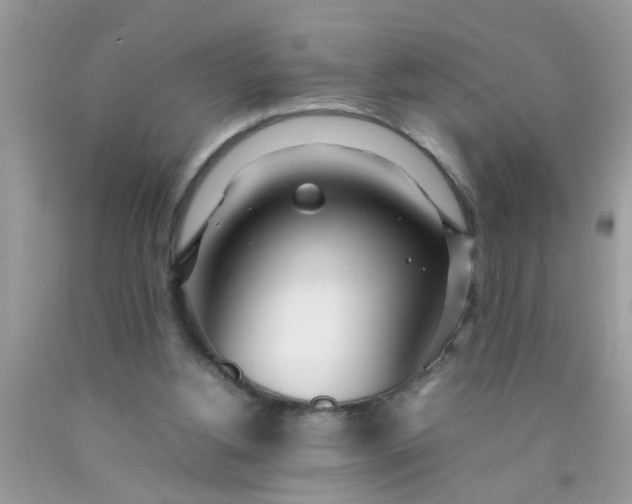 X0000090470156200707272305