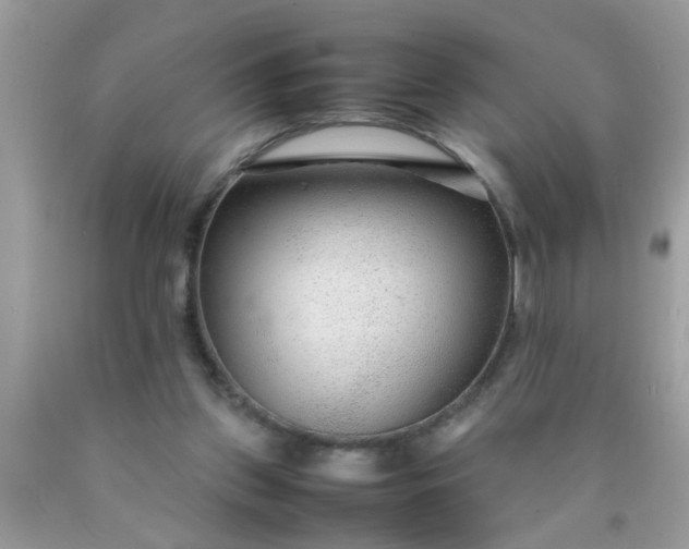 X0000090470157200707272305