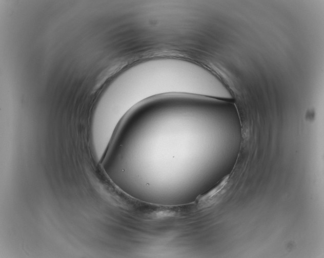 X0000090470158200707272305