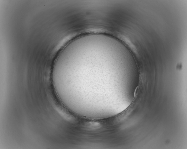 X0000090470159200707272305