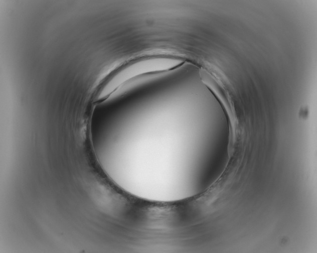 X0000090470160200707272305