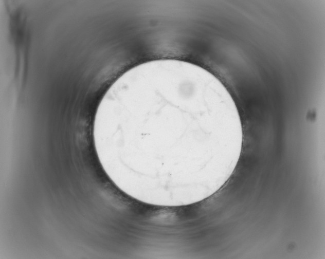 X0000090470162200707272305