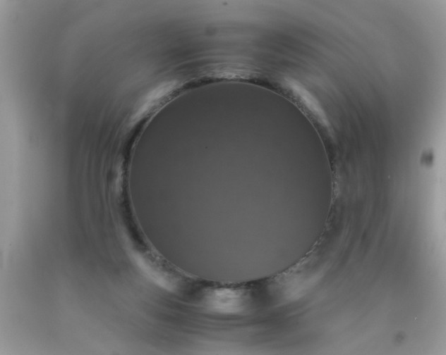 X0000090470163200707272305