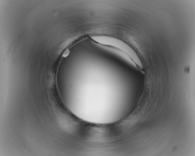 X0000090470164200707272305