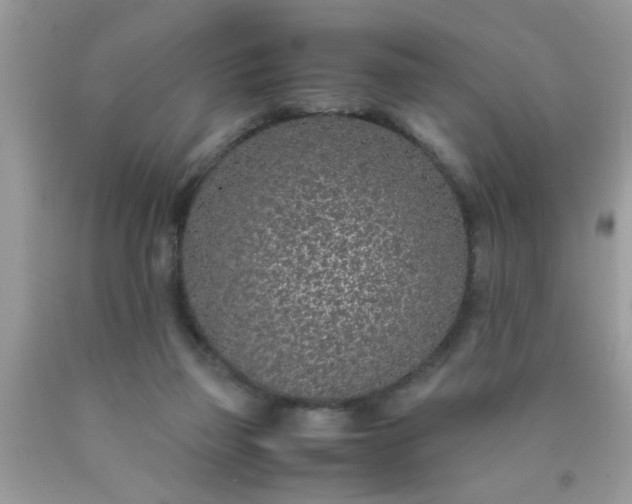 X0000090470165200707272305