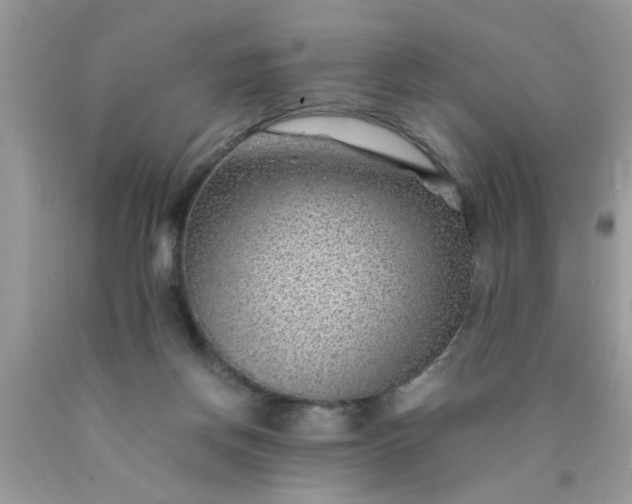 X0000090470166200707272305