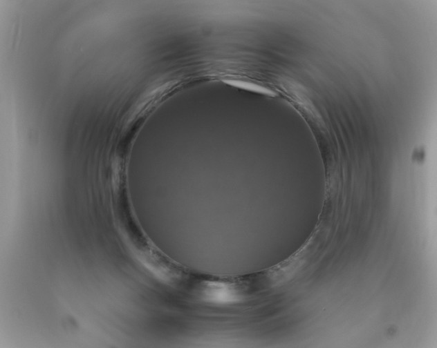 X0000090470167200707272305