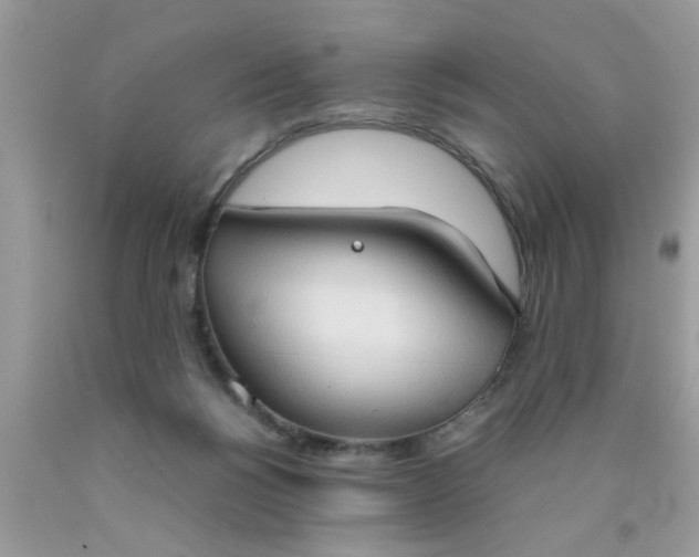 X0000090470168200707272305