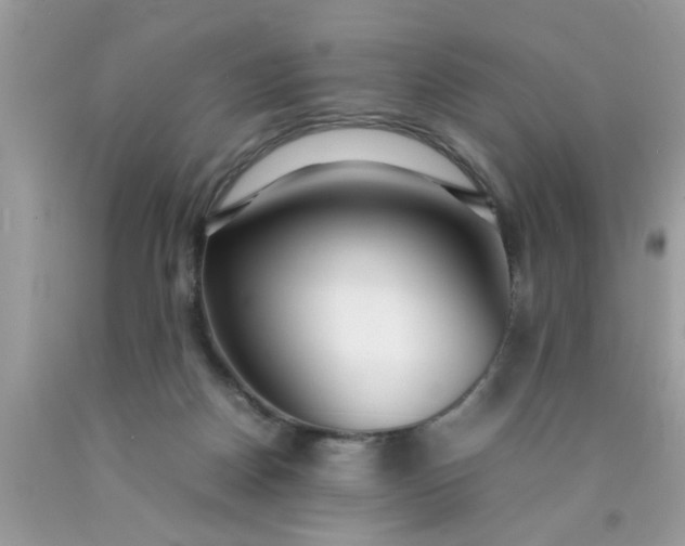 X0000090470170200707272305