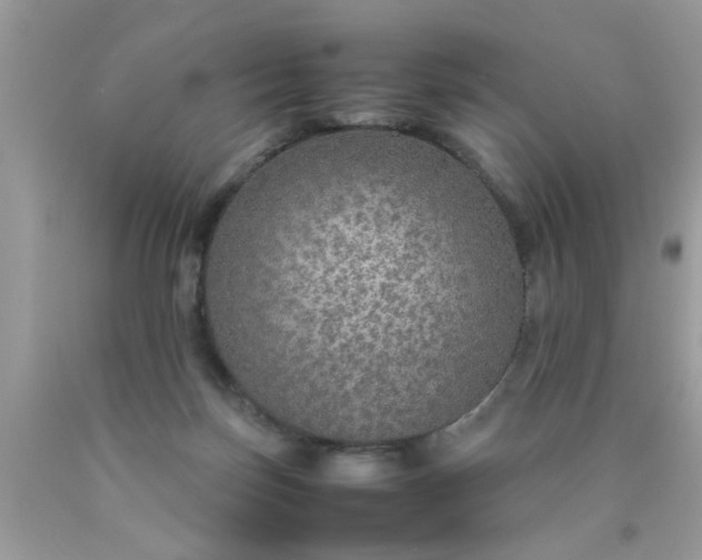 X0000090470171200707272306