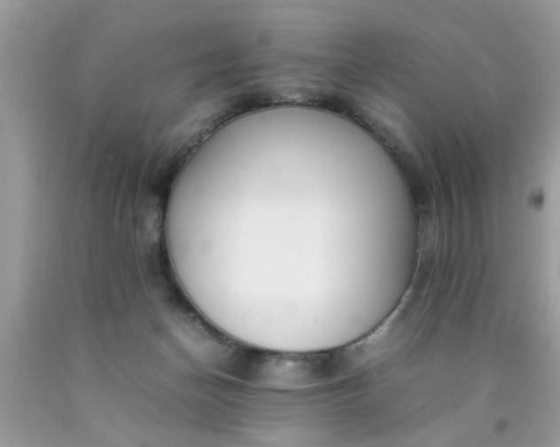 X0000090470174200707272306