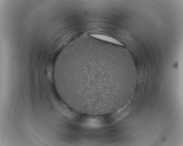 X0000090470175200707272306