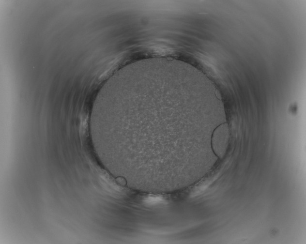 X0000090470177200707272306