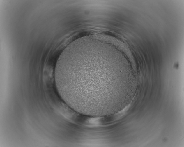 X0000090470178200707272306