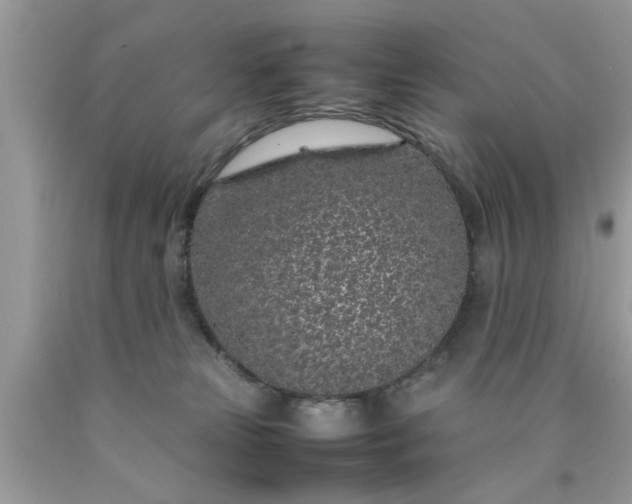 X0000090470181200707272306