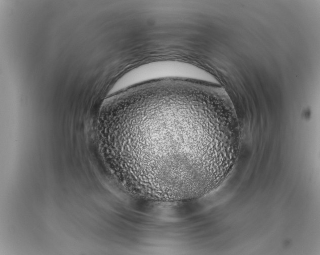 X0000090470182200707272306