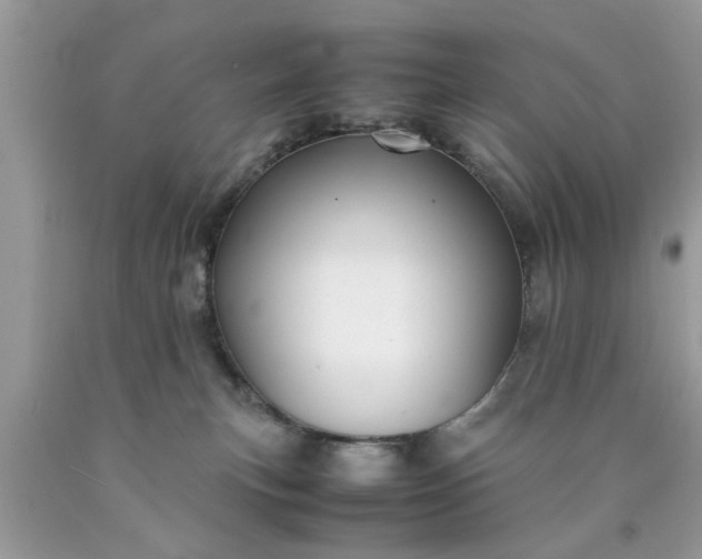 X0000090470183200707272306