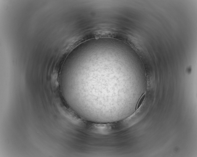 X0000090470187200707272306